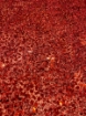 Picture of Red embroidery with mirrors