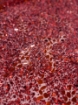 Picture of Red embroidery with mirrors
