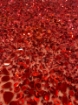 Picture of Red embroidery with mirrors