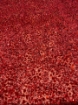 Picture of Red embroidery with mirrors