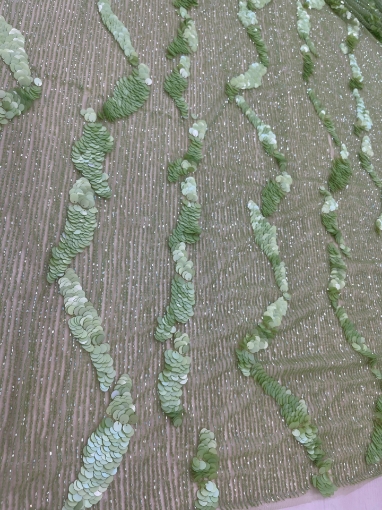 Picture of Bead and sequin embroidery