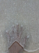 Picture of Beading and sequin embroidery on lace
