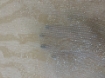 Picture of Bead embroidery on voile