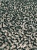 Picture of Elastic embroidery with pearls, beads, and sequins