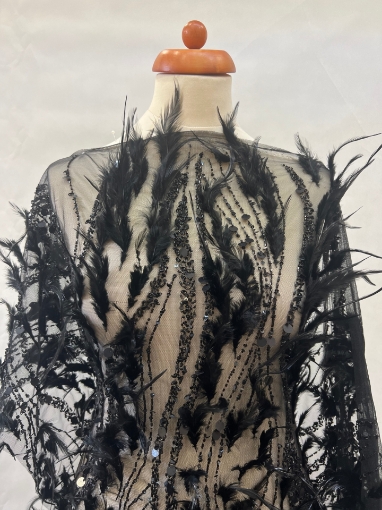 Picture of Linear feather pattern embroidery