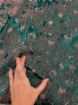 Picture of Brocade Silks Chambutaires