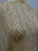 Picture of "Crystal fringe embroidery"