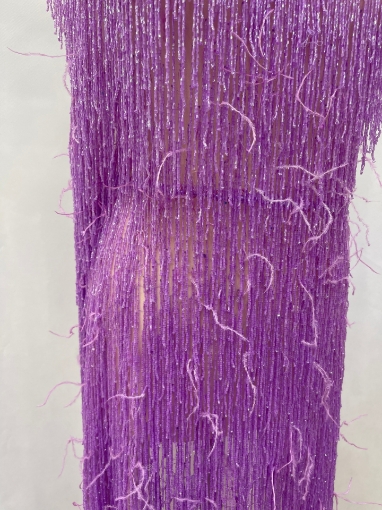 Picture of Lilac purple embroidery with fringes and feathers