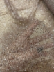 Picture of "Place the bat pink cobweb"