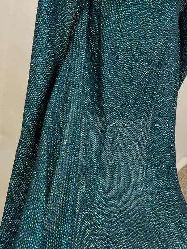 Picture of Sequins on voile