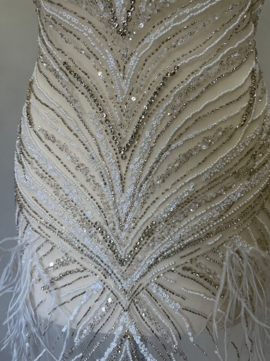Picture of Dress with crystals and feathers