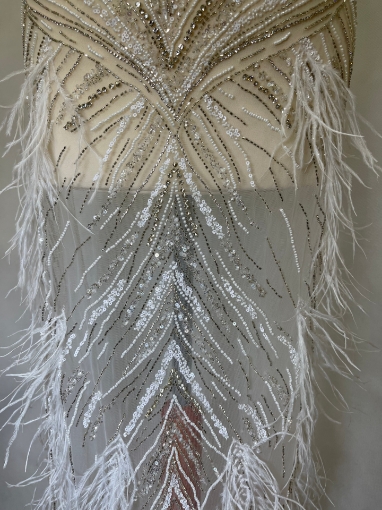 Picture of Dress with crystals and feathers
