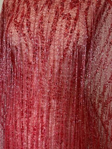 Picture of Mesh embroidery with red fringes