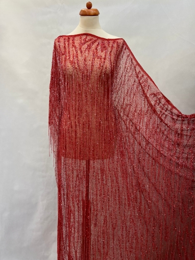 Picture of Mesh embroidery with red fringes