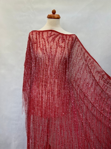Picture of Mesh embroidery with red fringes