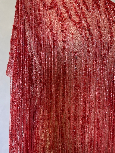 Picture of Mesh embroidery with red fringes