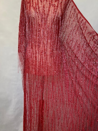 Picture of Mesh embroidery with red fringes