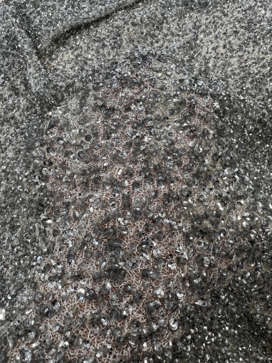 Picture of Sequin stretch mesh