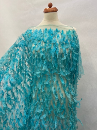 Picture of Feather and fringe embroidery