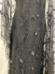 Picture of Beading with black feathers and beads