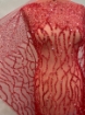 Picture of Embroidery with strings of red beads