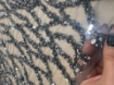 Picture of Embroidery with branches of beads and sequins