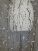 Picture of Feather embroidery with pearls and silver beads