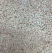 Picture of Beaded and sequined embroidered lace
