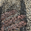 Picture of Piece of mesh embroidery with beads