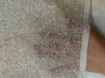 Picture of "Beaded Netting"