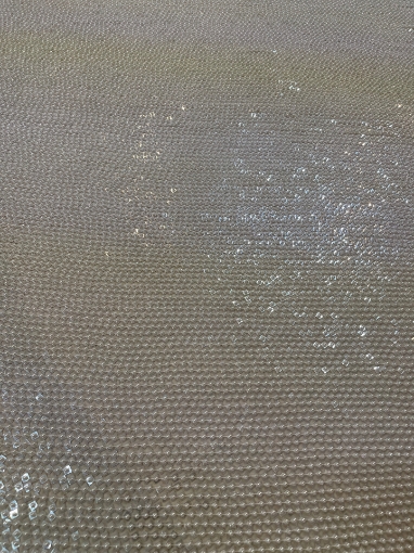 Picture of Beading and Sequin Embroidery