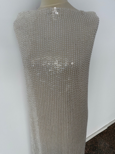 Picture of Beading and Sequin Embroidery
