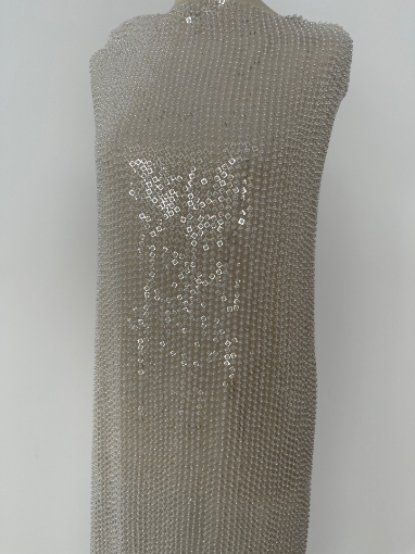Picture of Beading and Sequin Embroidery
