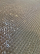 Picture of Beading and Sequin Embroidery