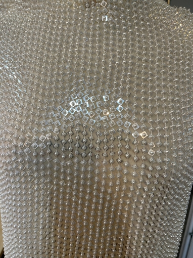Picture of Beading and Sequin Embroidery