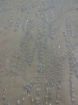 Picture of "Beaded embroidery"