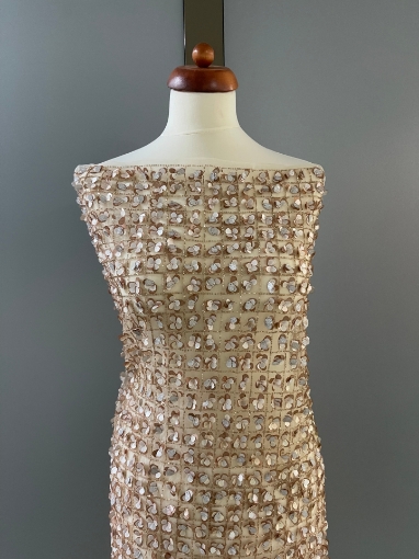 Picture of Sequin embroidery