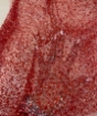 Picture of Elastic mesh with beads and sequins