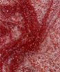 Picture of Elastic mesh with beads and sequins