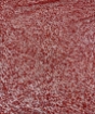 Picture of Elastic mesh with beads and sequins