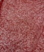 Picture of Elastic mesh with beads and sequins
