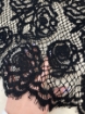 Picture of "Solstiss Lace x DG"