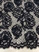 Picture of "Solstiss Lace x DG"