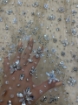 Picture of "Crystal embroidery"