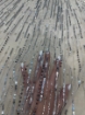 Picture of Bead and Crystal Embroidery