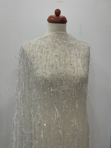 Picture of "Beaded and Feather Fringe Embroidery"