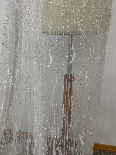 Picture of "Beaded and Feather Fringe Embroidery"