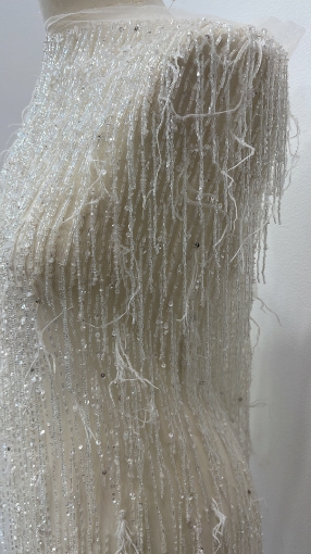 Picture of "Beaded and Feather Fringe Embroidery"