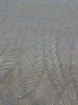 Picture of White Waves