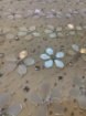 Picture of Embroidery Sequins & Beads